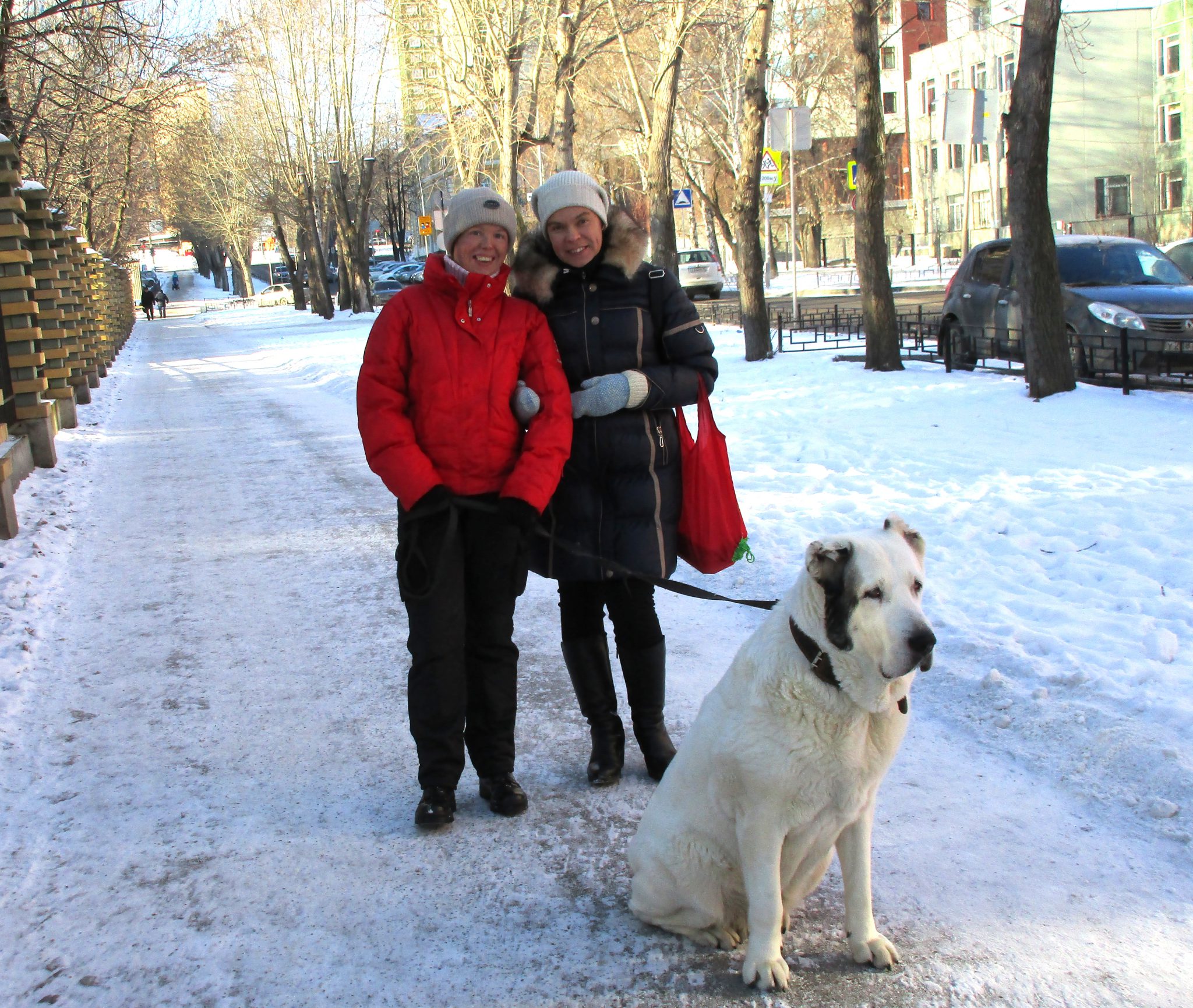 Прогулка с собакой фото