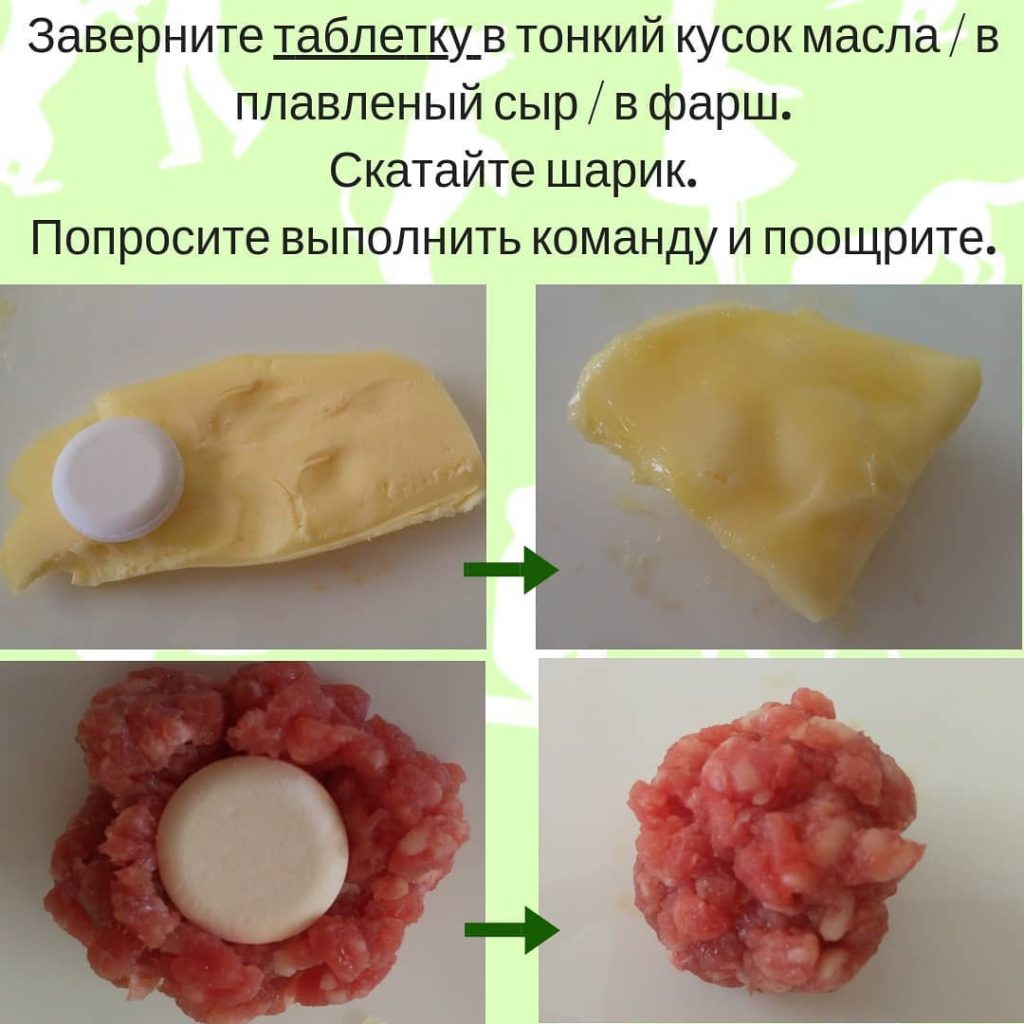 больной собаки